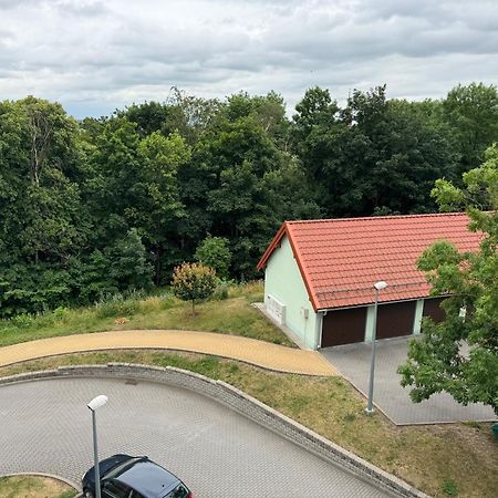 Bozki Apartament ケントシン エクステリア 写真